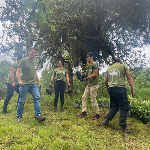 siembra-arboles-pattex-sostenibilidad