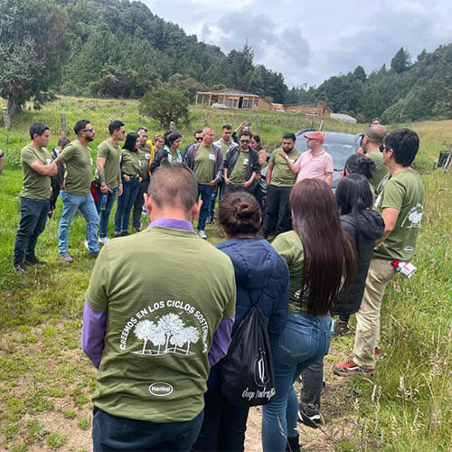 siembra-arboles-pattex-sostenibilidad