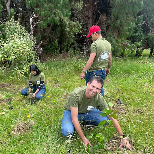 siembra-arboles-pattex-sostenibilidad