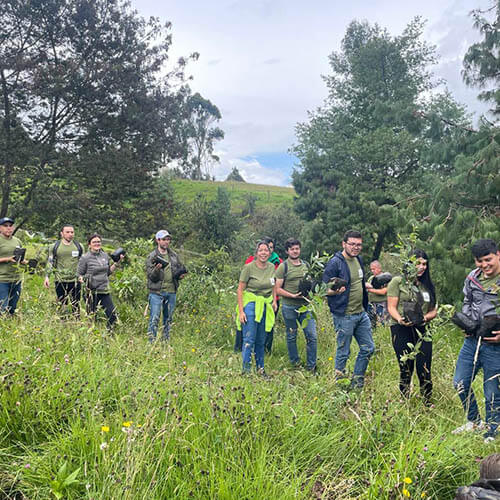 siembra-arboles-pattex-sostenibilidad