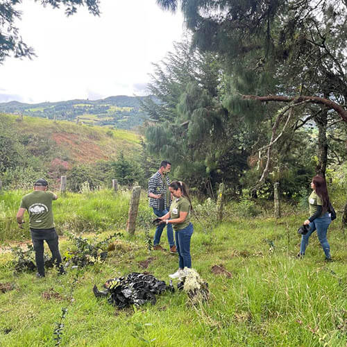 siembra-arboles-pattex-sostenibilidad